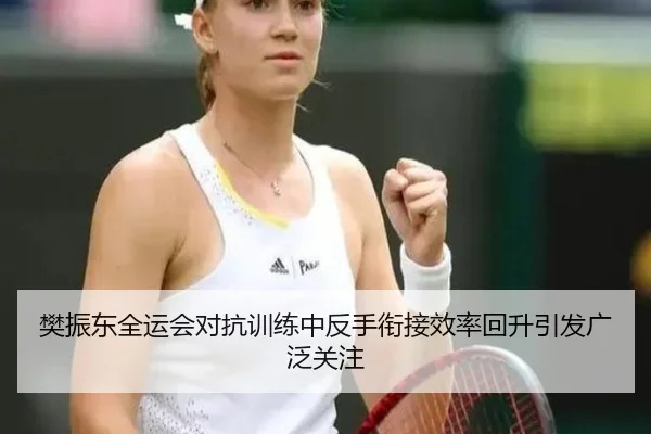 樊振东全运会对抗训练中反手衔接效率回升引发广泛关注（ANBOSPORTS）